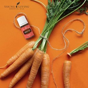 Young Living Carrot Seed essential oil 5ml